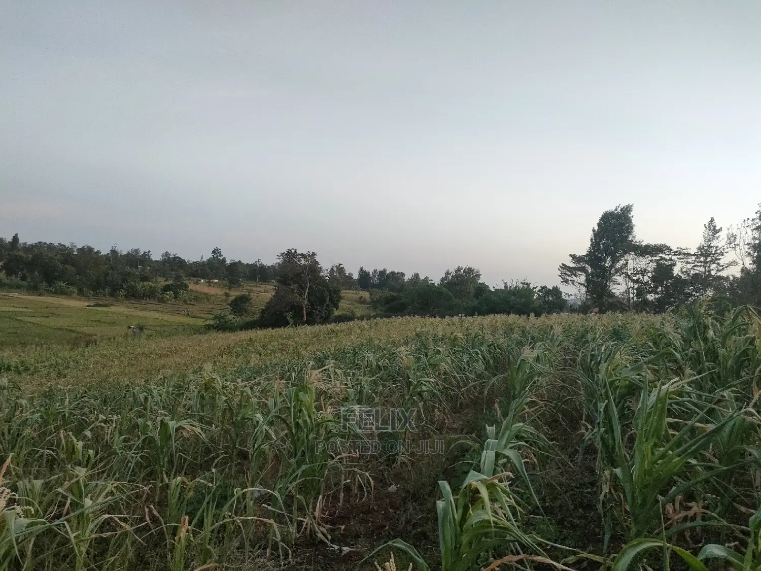 3 Acres Sagana/ Karatina Highway Kiangwachi