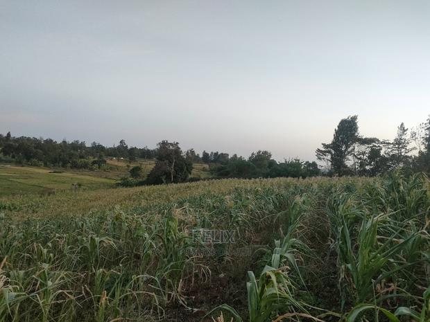 3 Acres Sagana/ Karatina Highway Kiangwachi - thumbnail 12