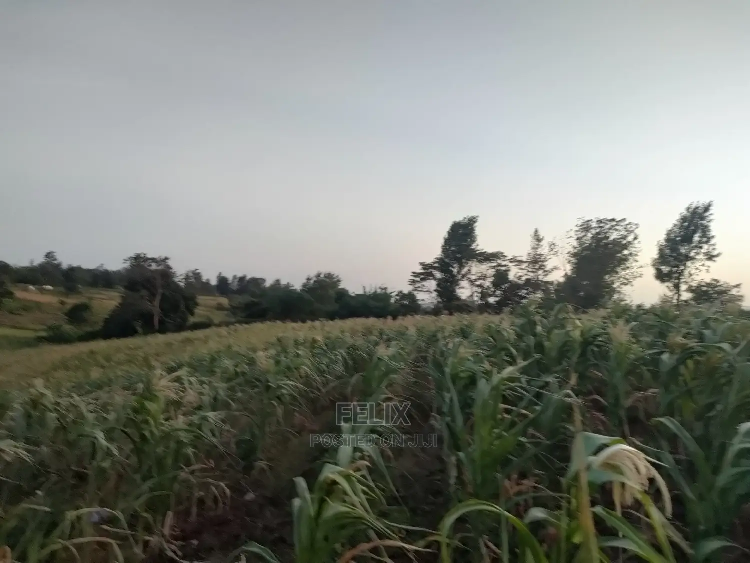 3 Acres Sagana/ Karatina Highway Kiangwachi