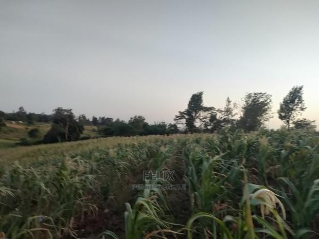 3 Acres Sagana/ Karatina Highway Kiangwachi - thumbnail 13