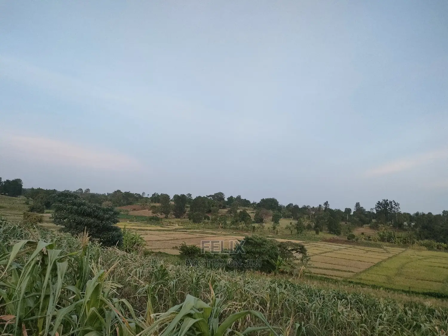 3 Acres Sagana/ Karatina Highway Kiangwachi