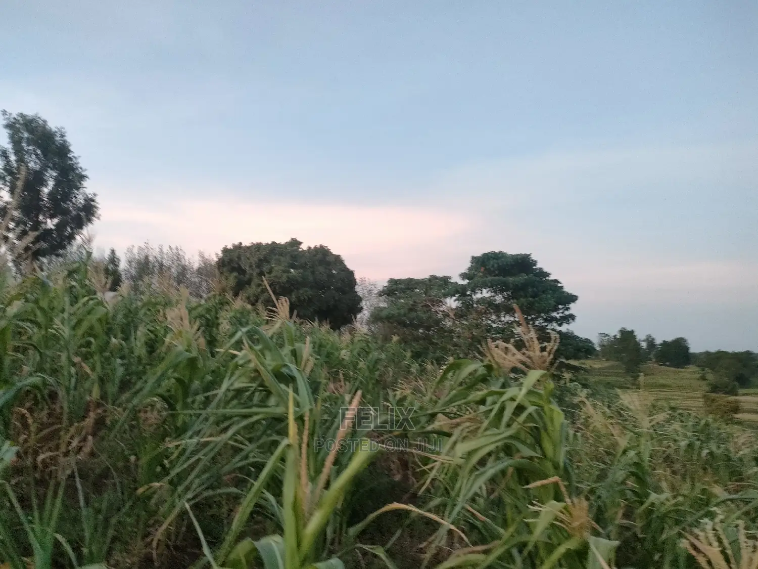 3 Acres Sagana/ Karatina Highway Kiangwachi