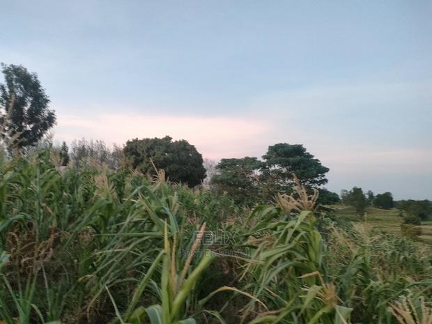 3 Acres Sagana/ Karatina Highway Kiangwachi - thumbnail 14