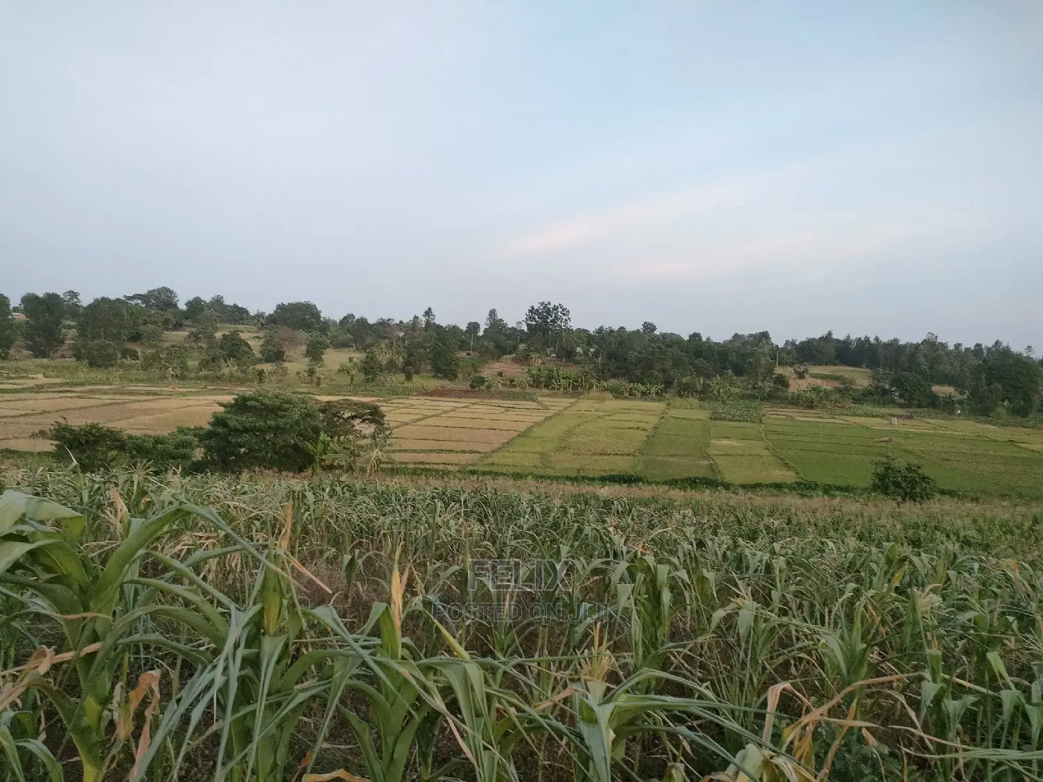 3 Acres Sagana/ Karatina Highway Kiangwachi