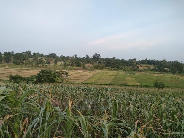 3 Acres Sagana/ Karatina Highway Kiangwachi - thumbnail 16