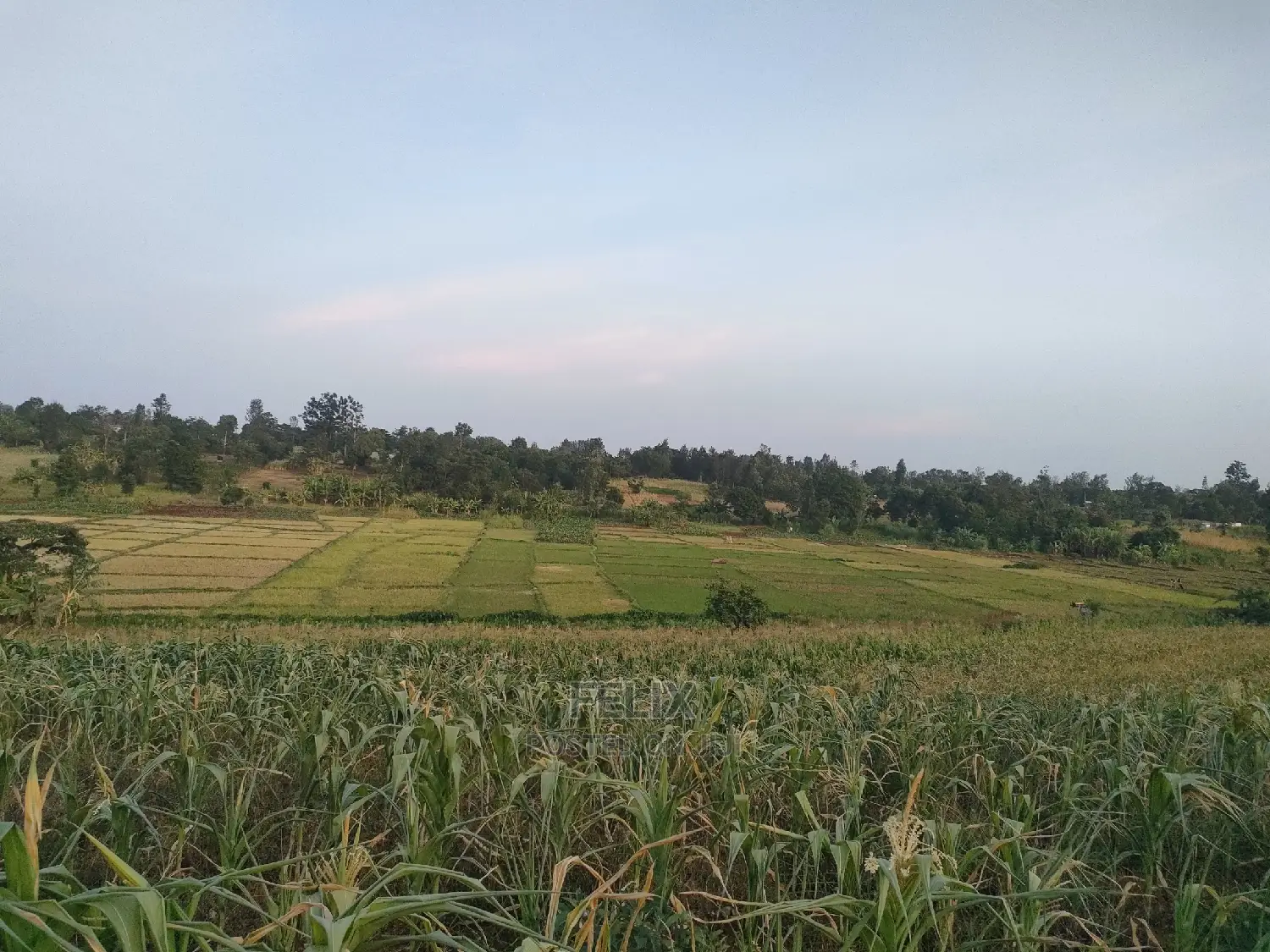3 Acres Sagana/ Karatina Highway Kiangwachi