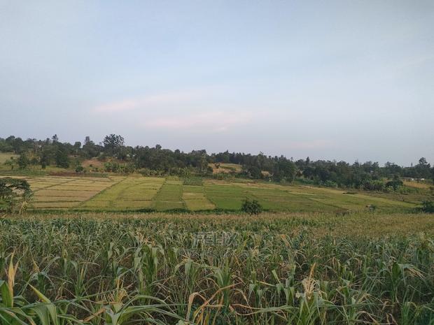 3 Acres Sagana/ Karatina Highway Kiangwachi - thumbnail 17