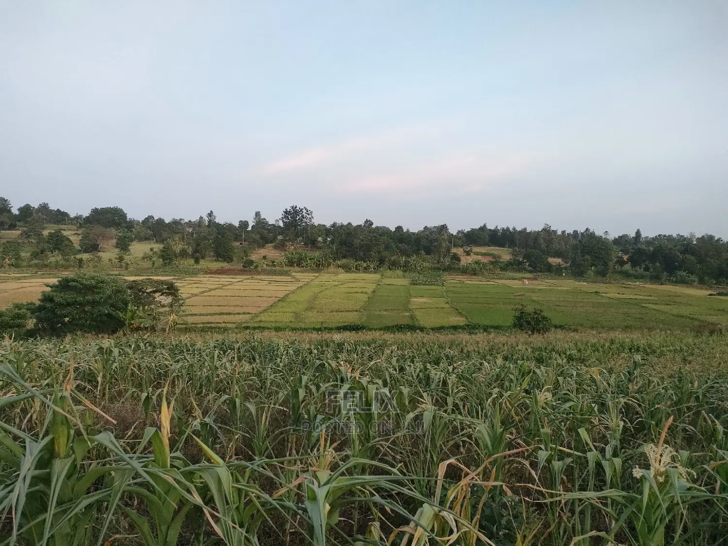 3 Acres Sagana/ Karatina Highway Kiangwachi