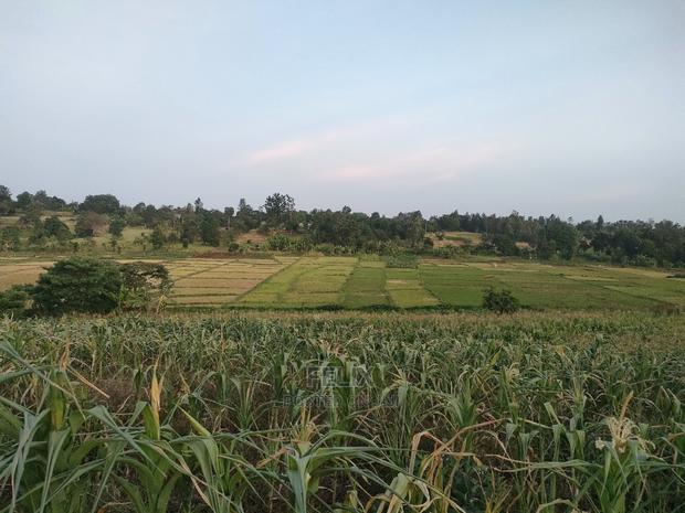 3 Acres Sagana/ Karatina Highway Kiangwachi - thumbnail 19