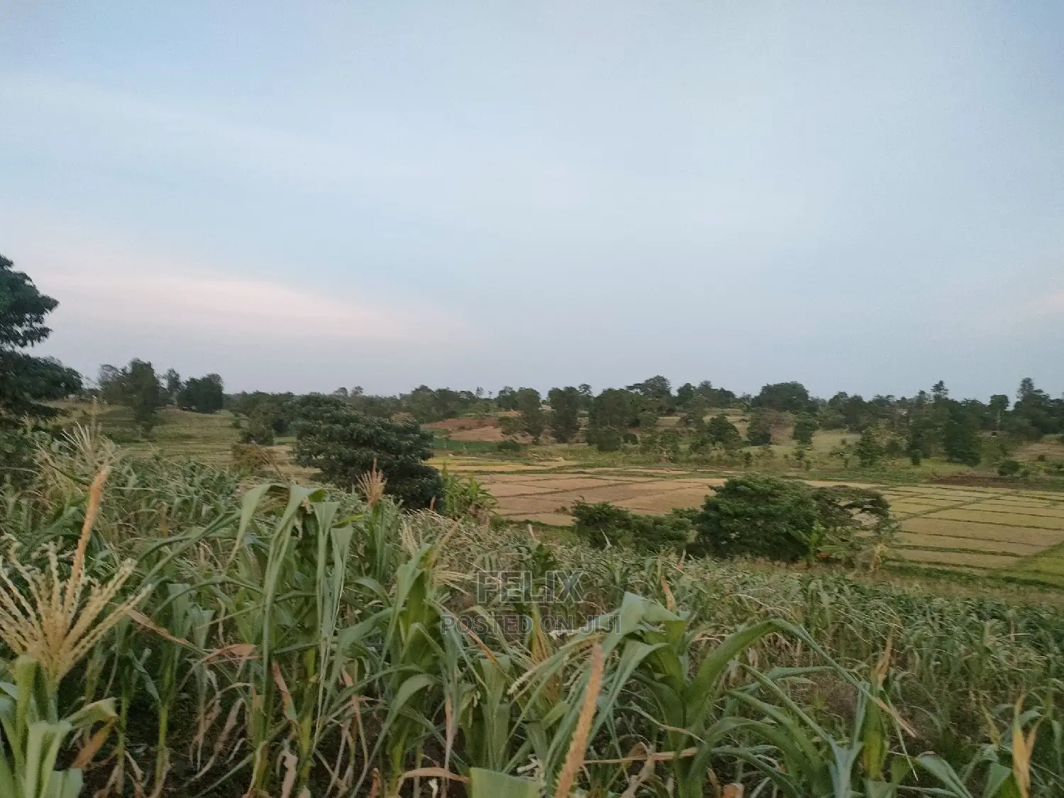 3 Acres Sagana/ Karatina Highway Kiangwachi