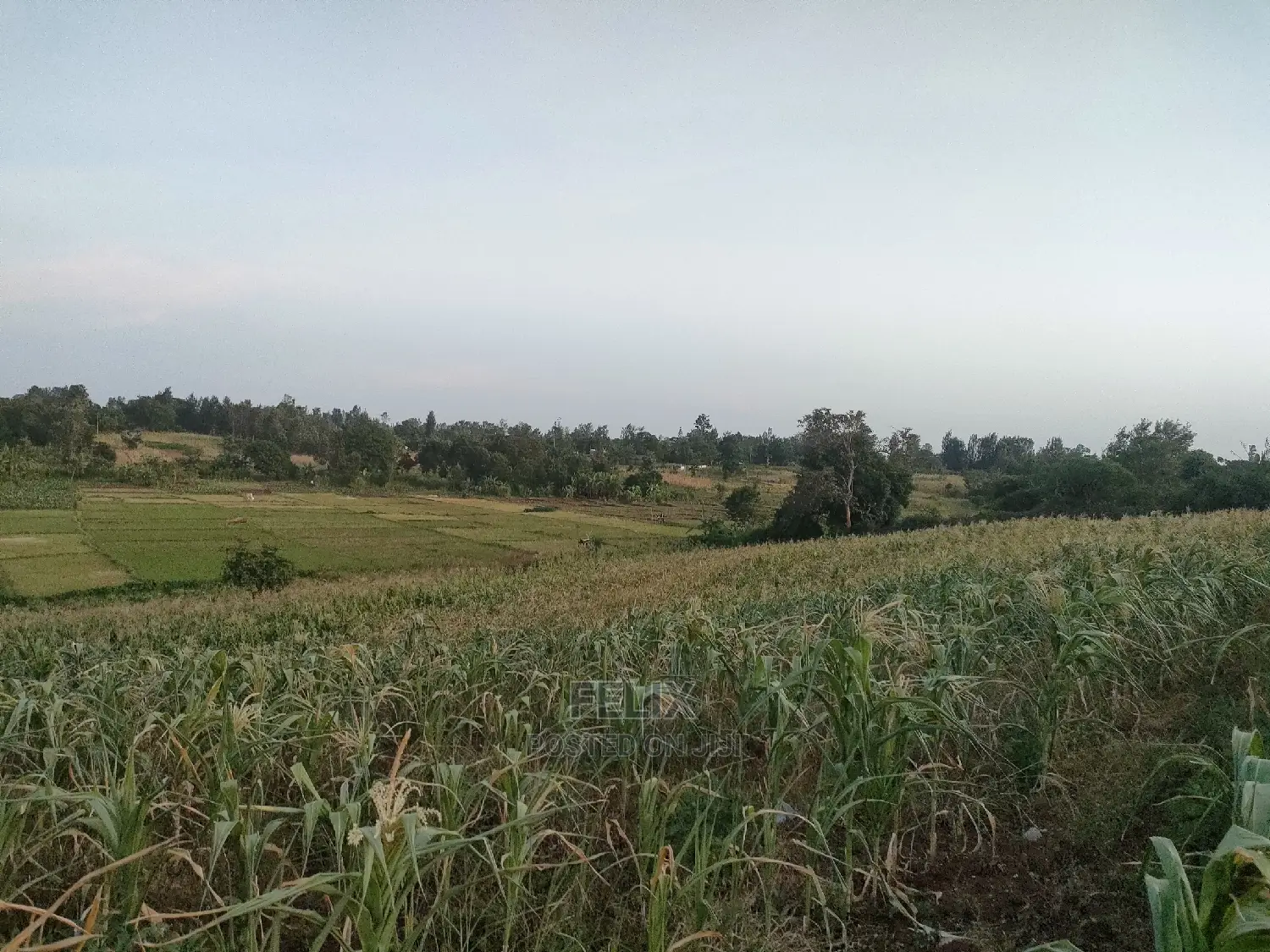 3 Acres Sagana/ Karatina Highway Kiangwachi