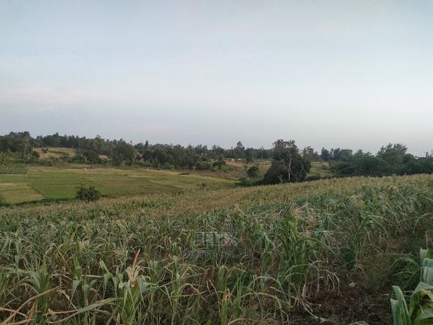 3 Acres Sagana/ Karatina Highway Kiangwachi - thumbnail 21