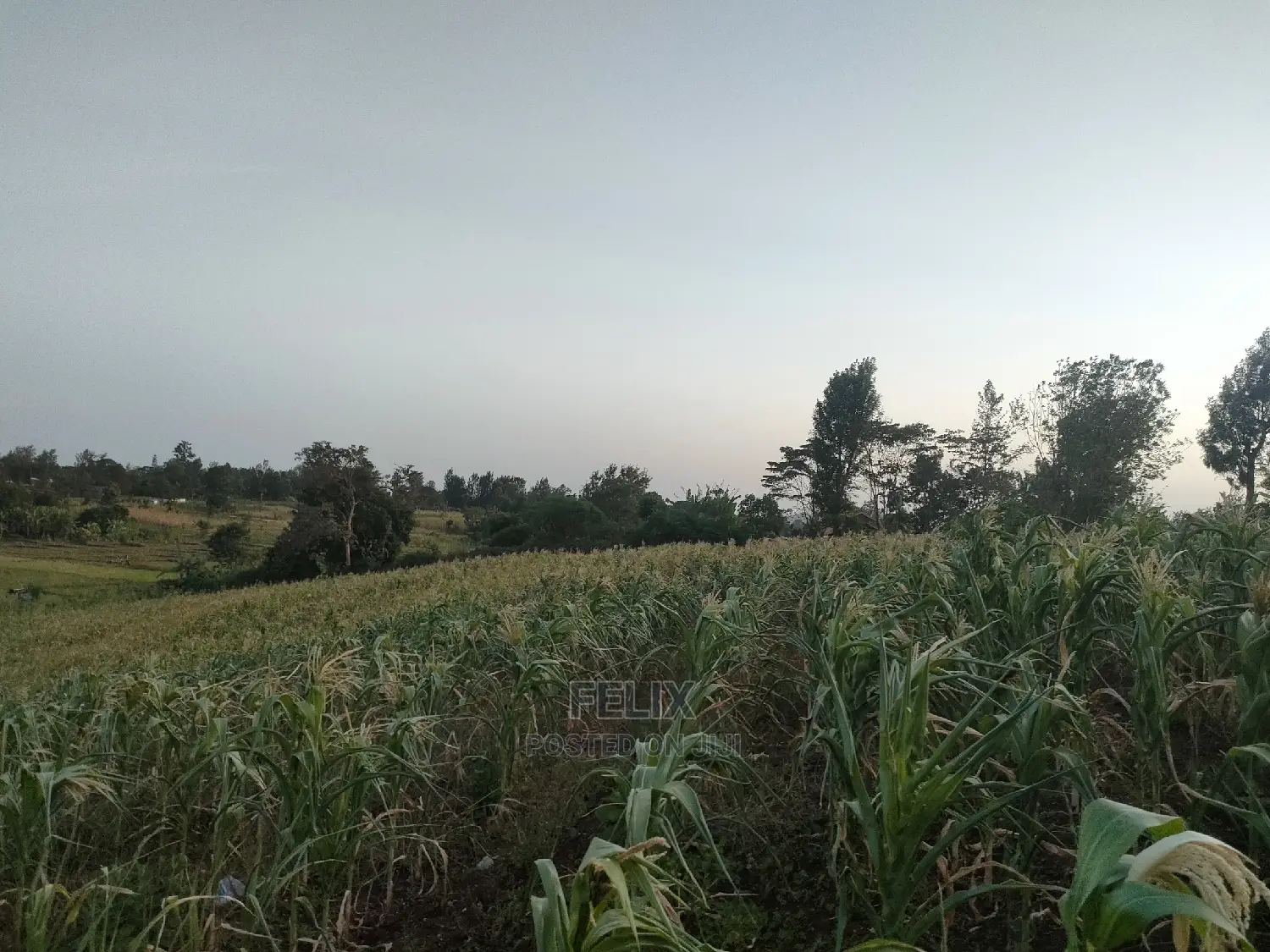 3 Acres Sagana/ Karatina Highway Kiangwachi