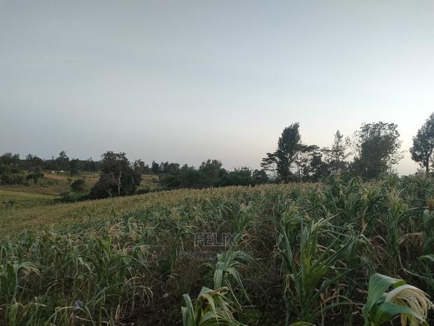 3 Acres Sagana/ Karatina Highway Kiangwachi - thumbnail 20