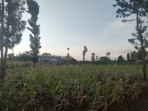 50/100 Plots Kiangwachi/ Sagana