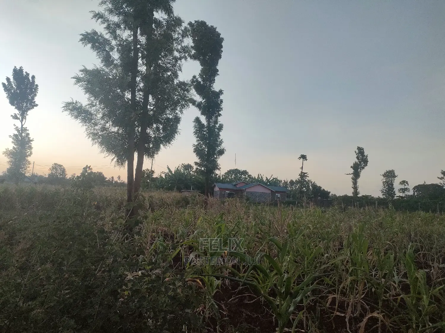 50/100 Plots Kiangwachi/ Sagana