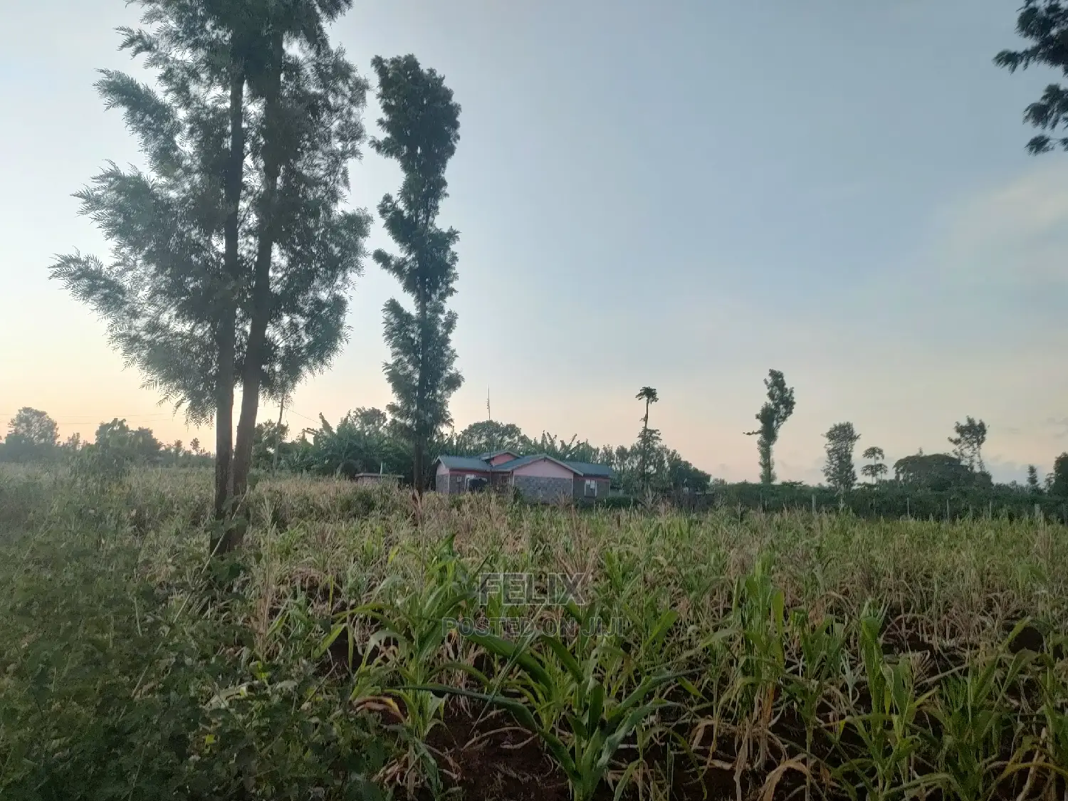 50/100 Plots Kiangwachi/ Sagana