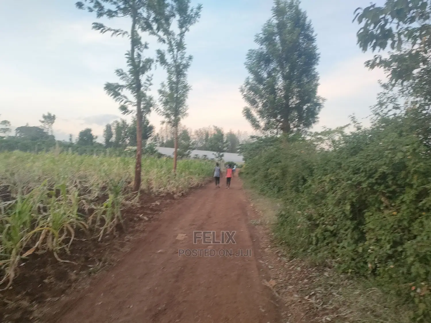 50/100 Plots Kiangwachi/ Sagana
