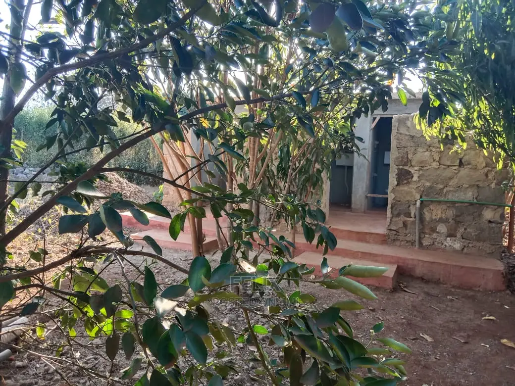 1 Acre Sagana /Rukanga in Kerugoya Land & Plots for Sale, Felix Wanjohi Jiji.co.ke