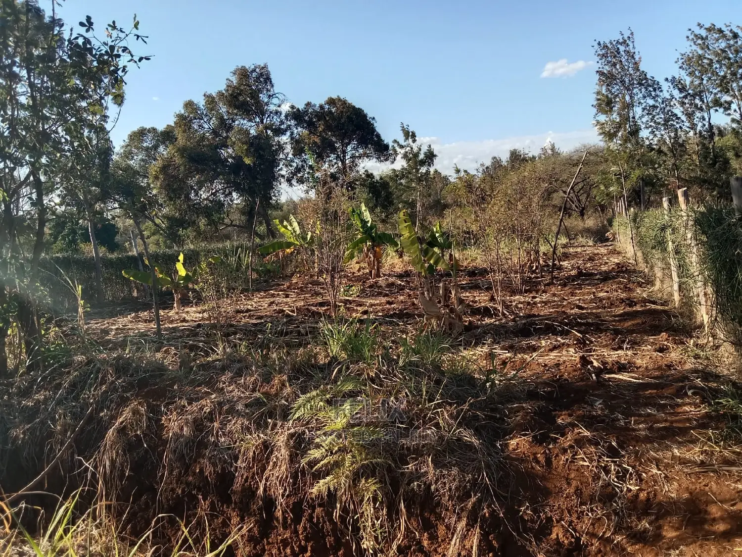 1 Acre Sagana /Rukanga