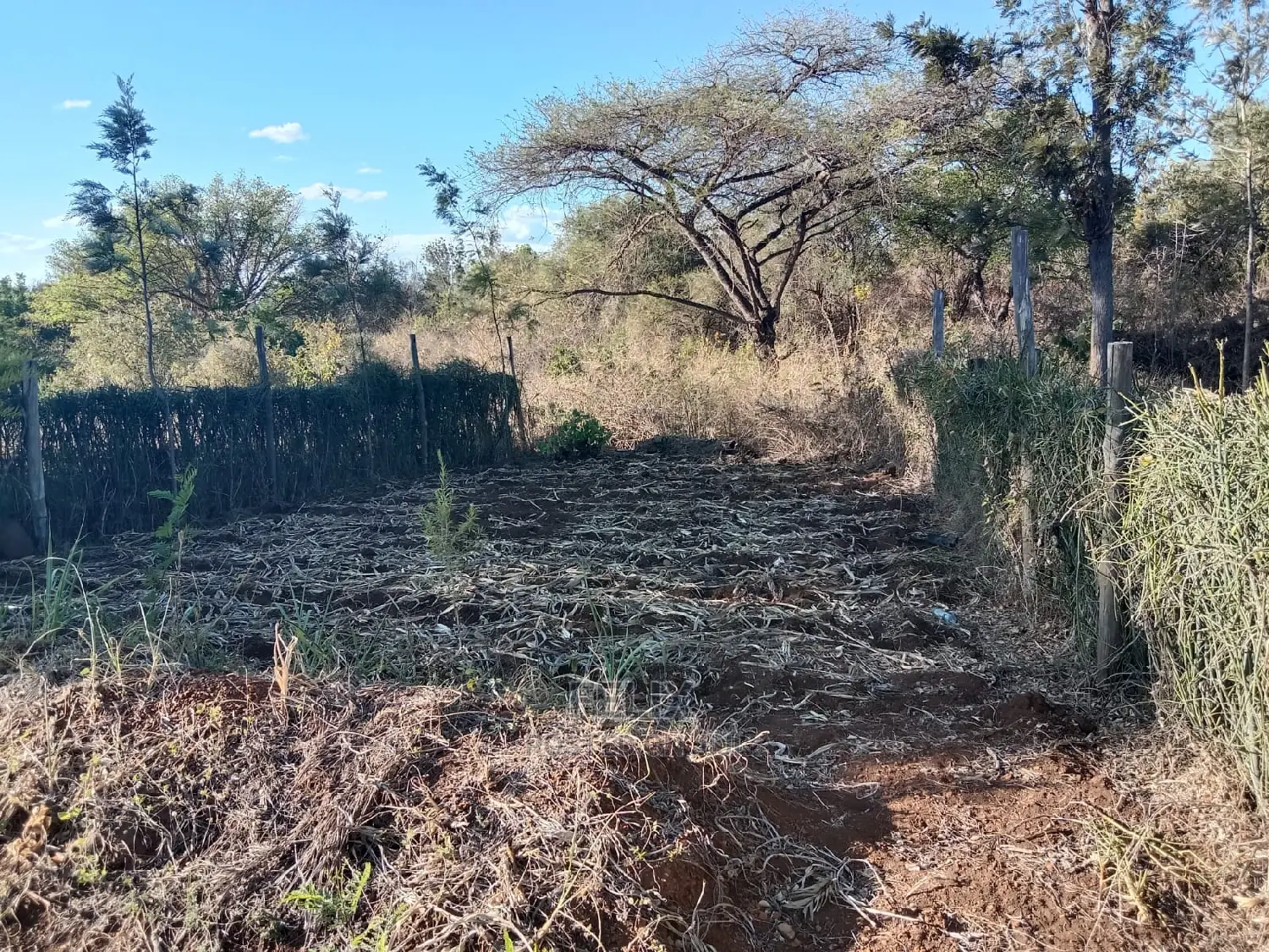1 Acre Sagana /Rukanga