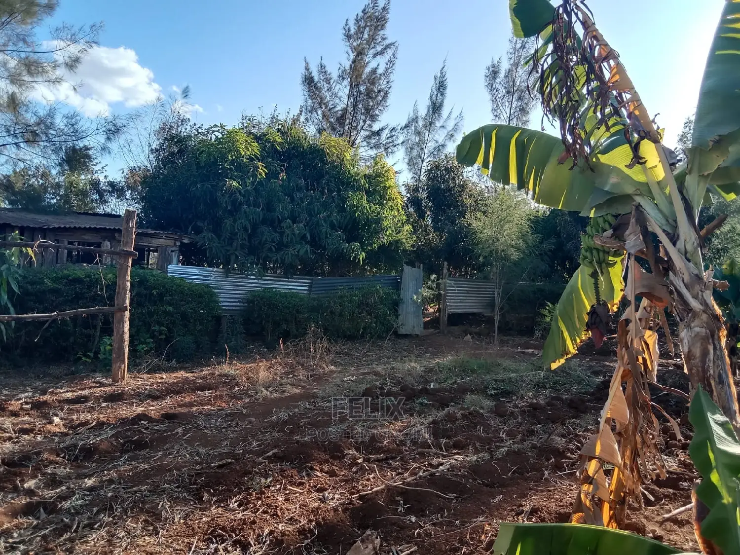 1 Acre Sagana /Rukanga in Kerugoya Land & Plots for Sale, Felix Wanjohi Jiji.co.ke