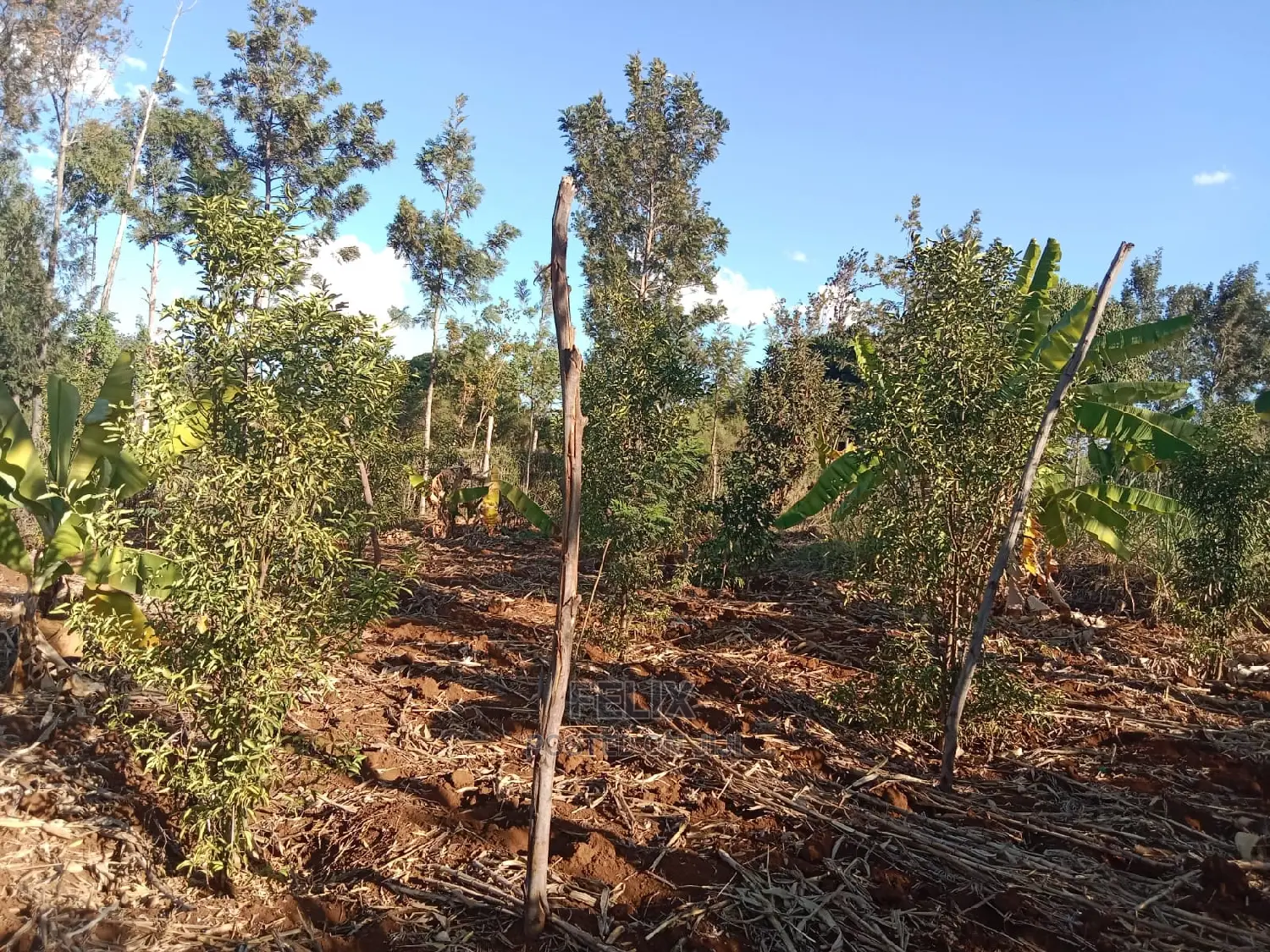 1 Acre Sagana /Rukanga