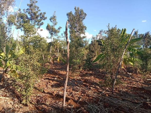 1 Acre Sagana /Rukanga - thumbnail 18