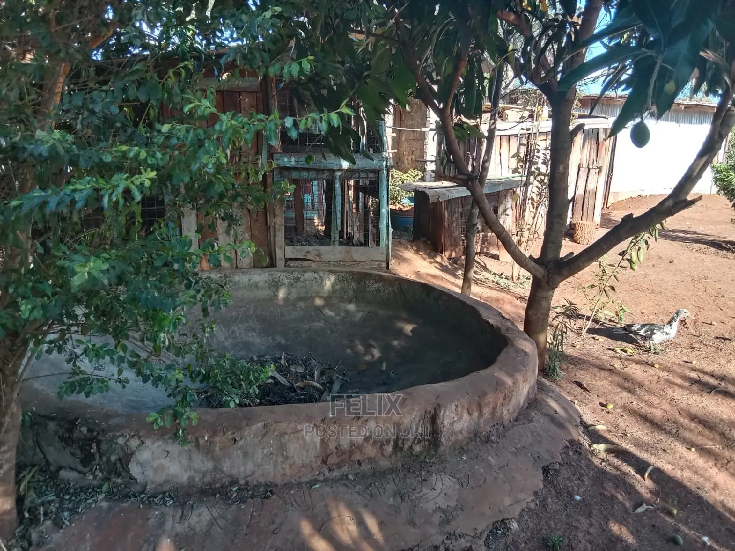 1 Acre Sagana /Rukanga