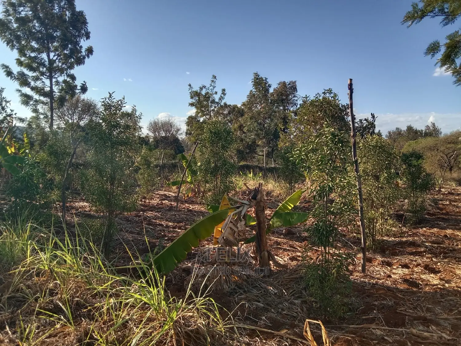 1 Acre Sagana /Rukanga