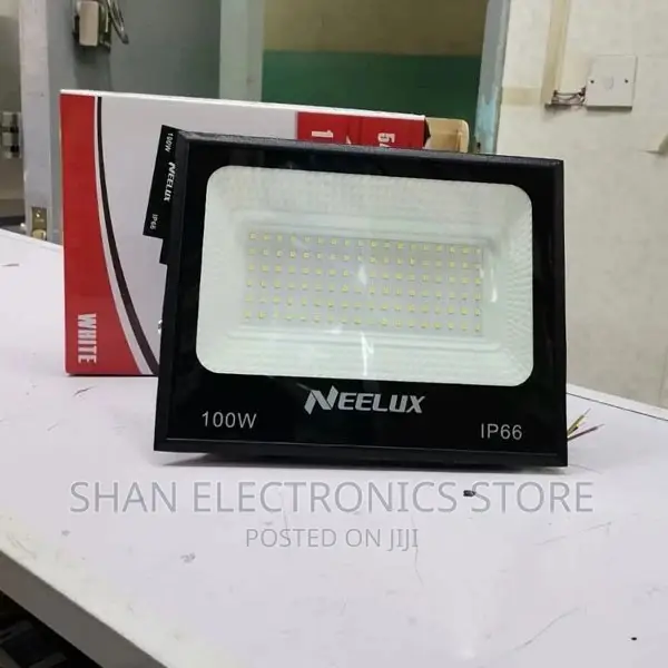 Flood Light Electric 100 Watts