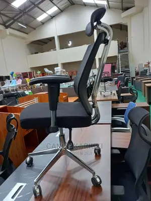 Executive Orthopaedic Office Chair
