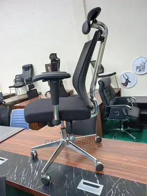 Executive Orthopaedic Office Chair