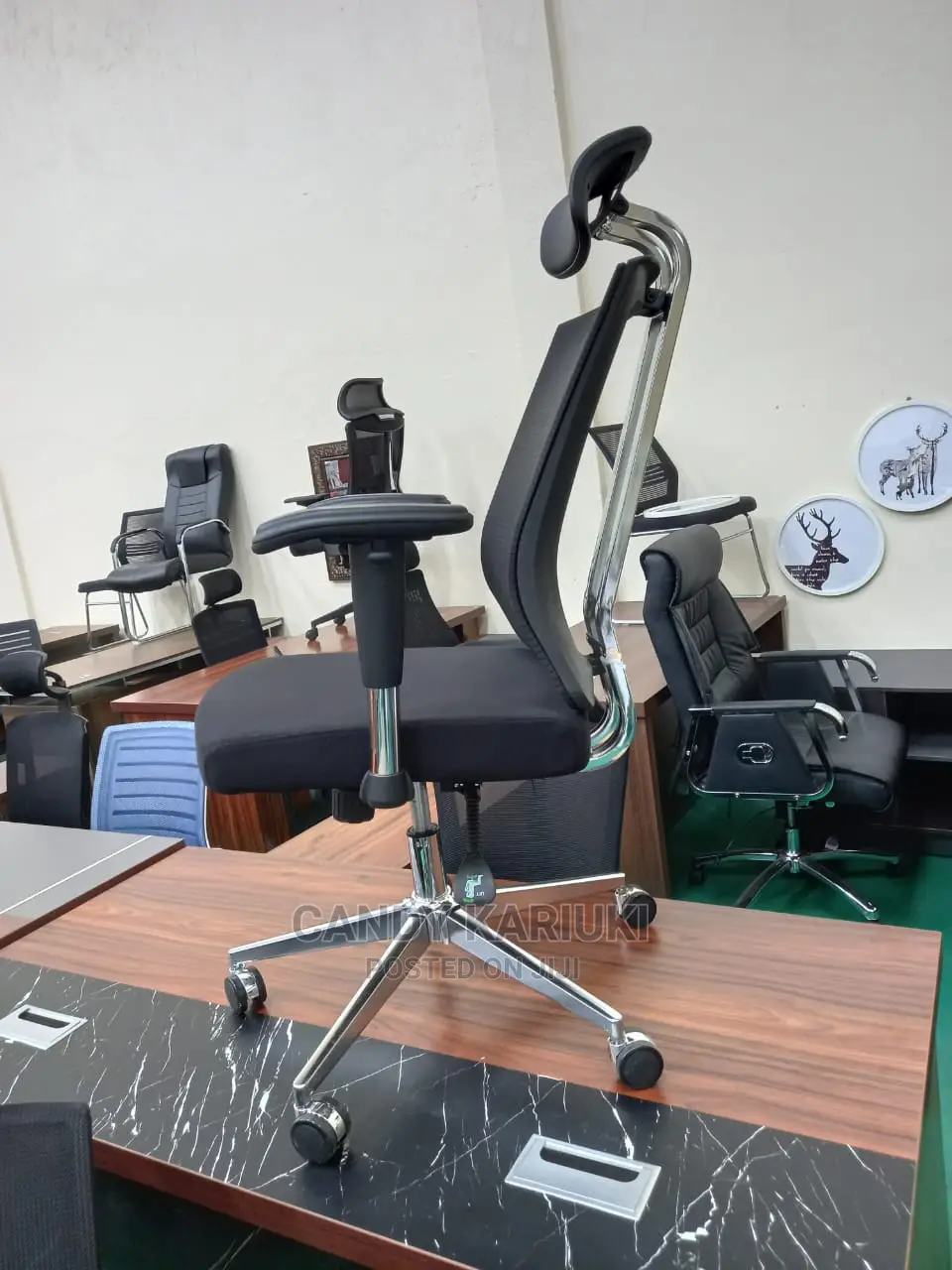 Modern Orthopaedic Office Chair