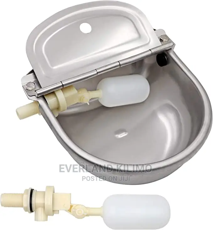 New Automatic Cow Drinker-Stainless Steel