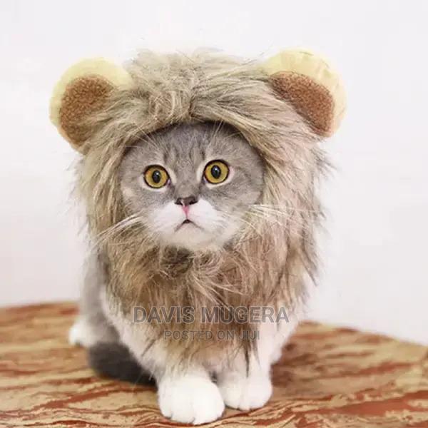 Lion Mane Cats Costume - thumbnail 3