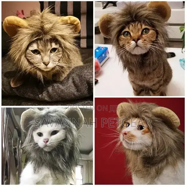 Lion Mane Cats Costume