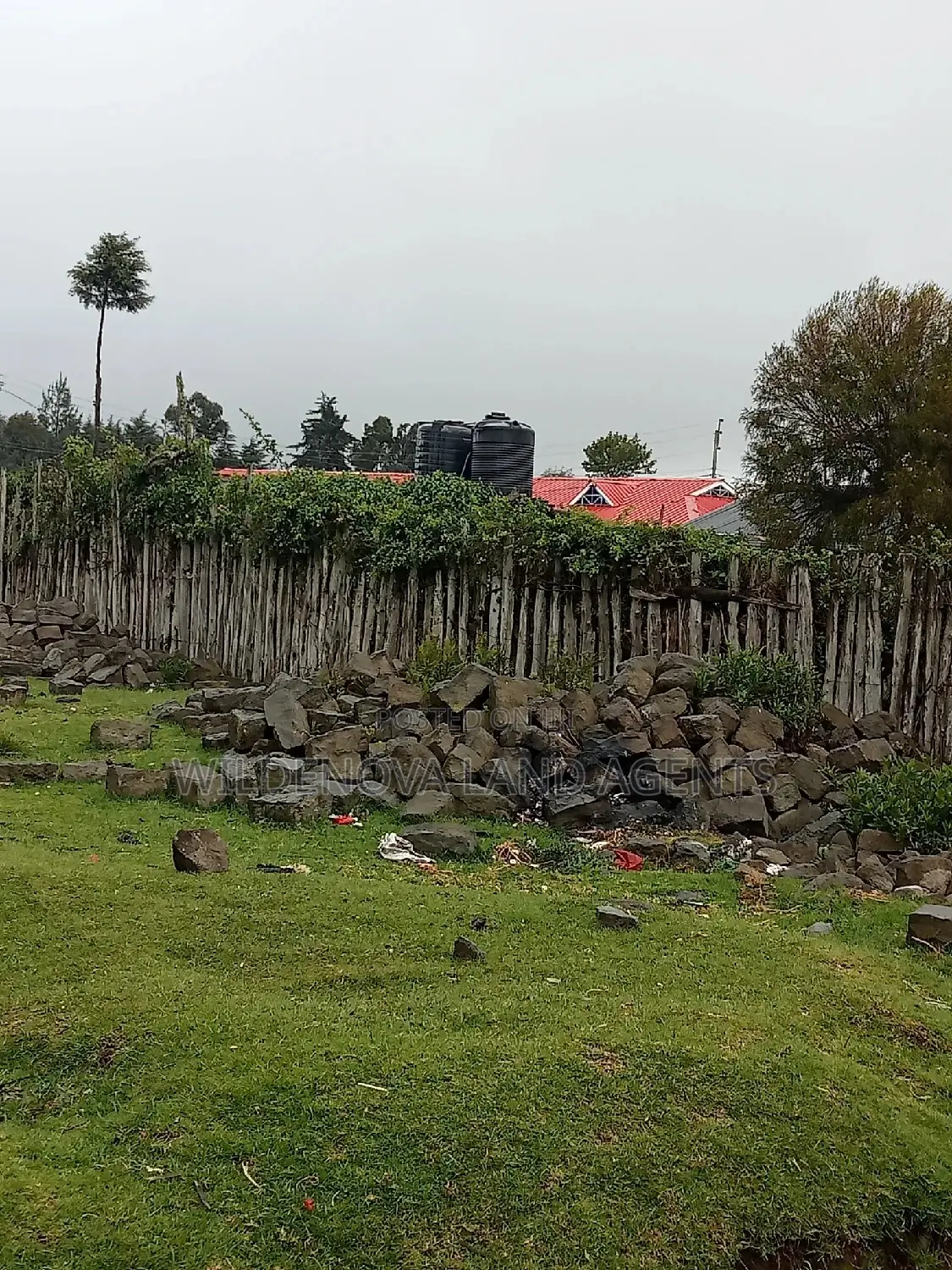 Plot on Sale at Magumu Kinangop