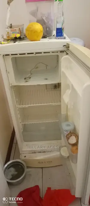 Fridge Repair Services