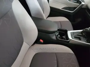 Toyota RAV4 2021 Gray