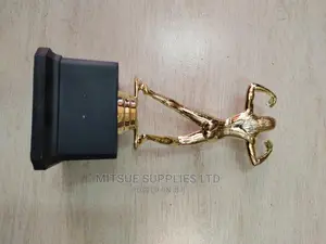Female Body Building Trophy 11.3 Inches