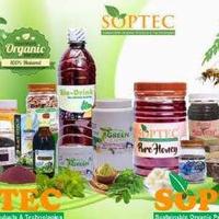 Moringa Oleifera logo