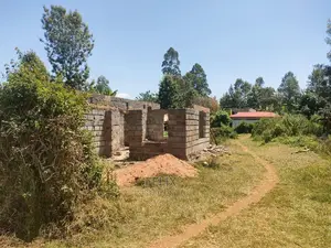 Karatina / Mwanda 50/100