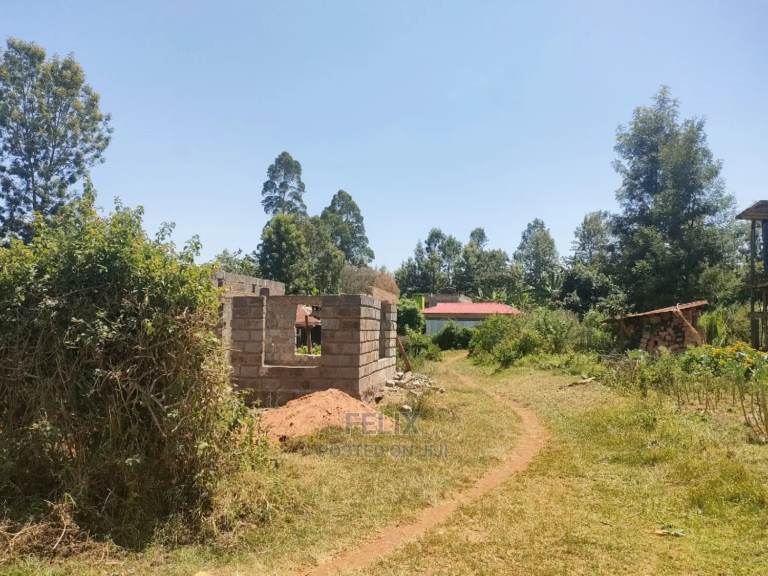 Karatina / Mwanda 50/100