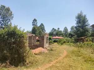 Karatina / Mwanda 50/100