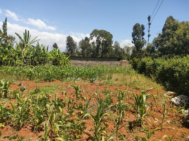 Karatina / Mwanda 50/100 - thumbnail 8