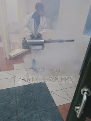 Mosquitos Fumigation