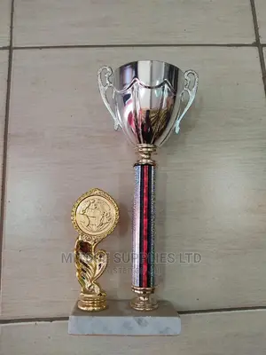 Miscellaneous Sport Trophy- 12 Inch