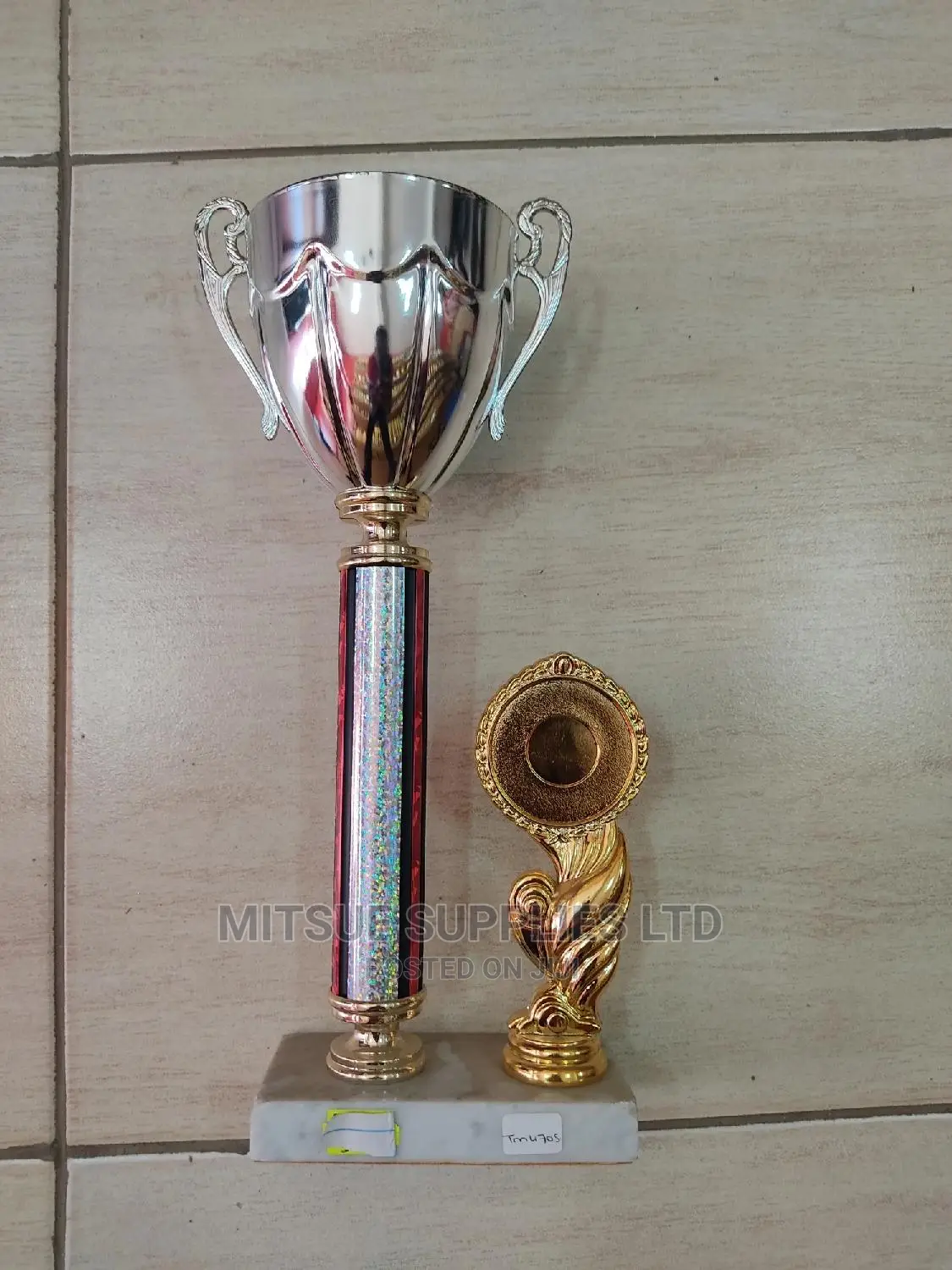 Miscellaneous Sport Trophy- 12 Inch