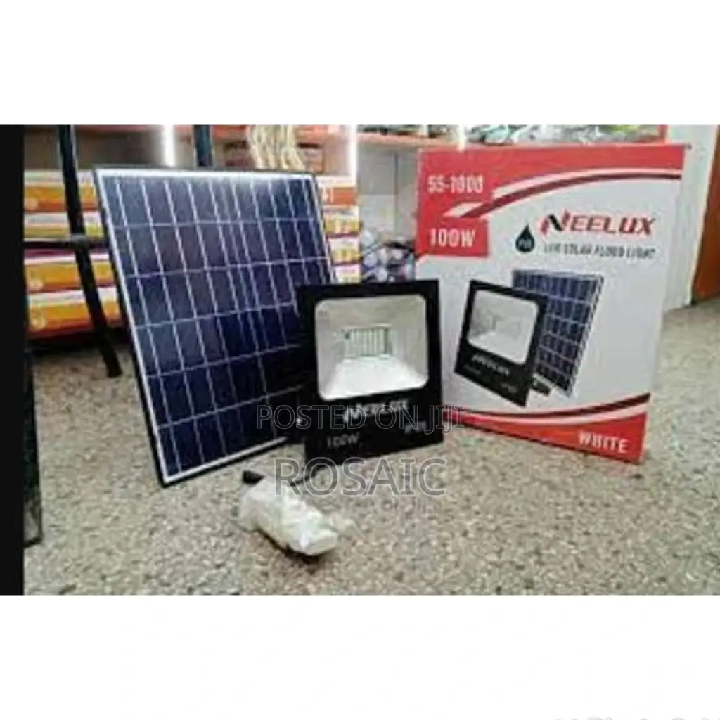 100watts Neelux Lef Floodlight